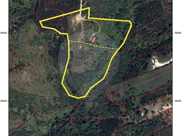Terreno à venda em Igreja Nova e Cheleiros, Mafra RE/MAX Portugal