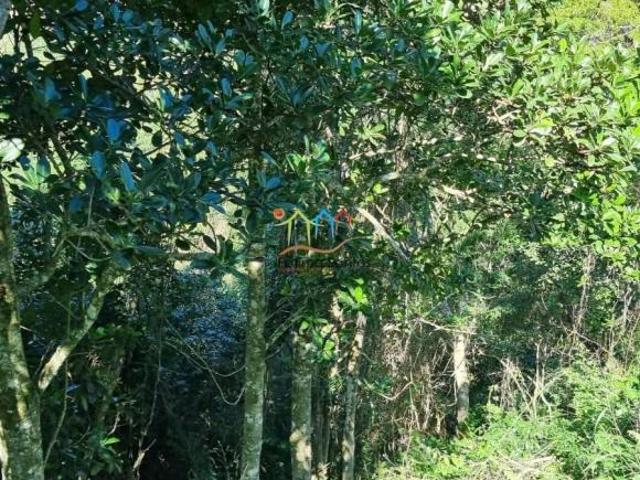 Terreno a venda em Ilhabela