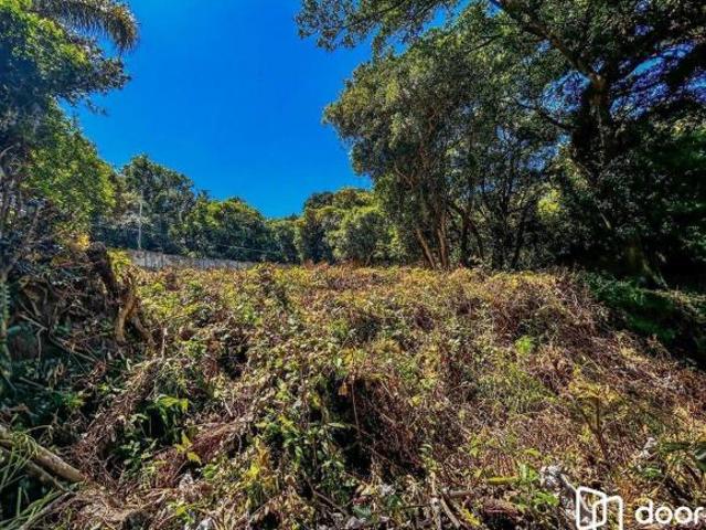 Terreno à venda em Ipanema
