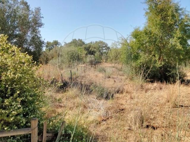 Terreno à venda em Joinal