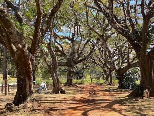 Terreno à venda em Jaguariúna, Tanquinho Velho, com 1075.81 m², Residencial Haras Patente