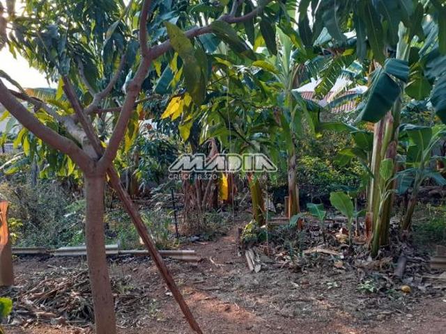 terreno à venda em Jardim Maria Rosa