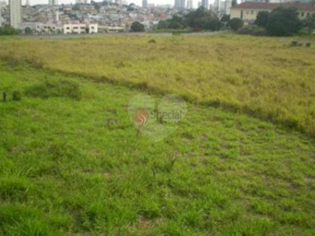 Terreno à venda em Jardim anália franco SP