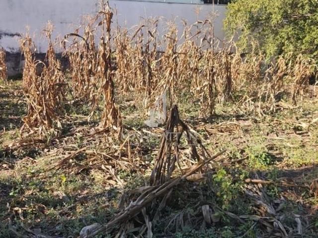 terreno à venda em Jardim Bela Vista