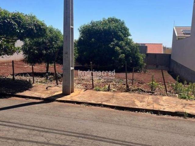 Terreno à Venda em Jardim Las Vegas, Ibiporã PR