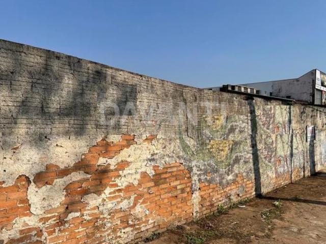 terreno à venda em Jardim Leonor
