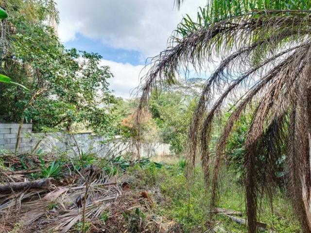 Terreno à venda em Jardim leonor SP