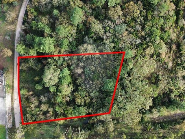 Terreno à venda em Juncal, Porto de Mós RE/MAX Portugal
