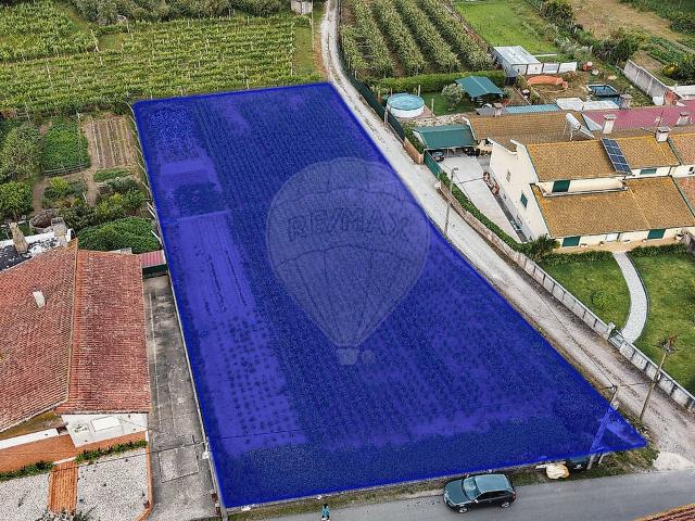 Terreno à venda em Oiã, Oliveira do Bairro RE/MAX Portugal