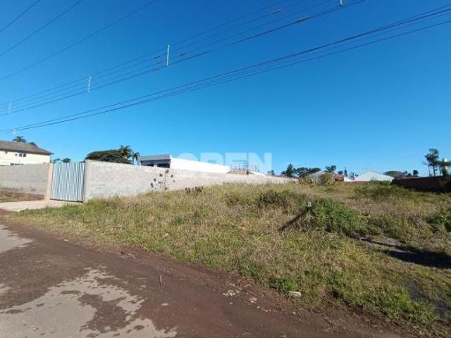 Terreno à venda em Olaria
