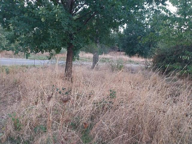 Terreno à venda em Oleiros Amieira, Oleiros RE/MAX Portugal
