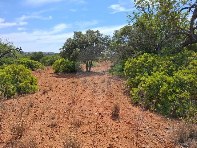 Terreno à venda em Olhão