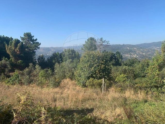 Terreno à venda em Oliveira, Cinfães RE/MAX Portugal
