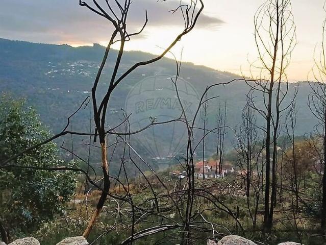 Terreno à venda em Oliveira, Cinfães RE/MAX Portugal