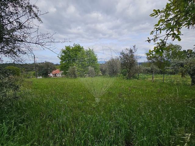 Terreno à venda em Oliveira do Conde, Carregal do Sal RE/MAX Portugal