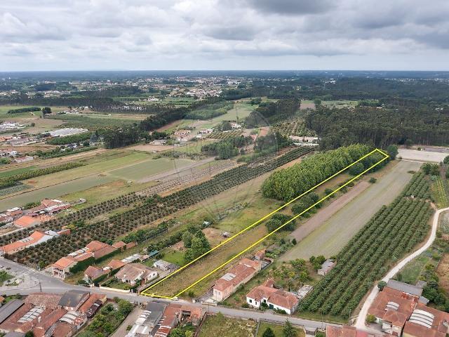 Terreno à venda em Oliveira do Bairro