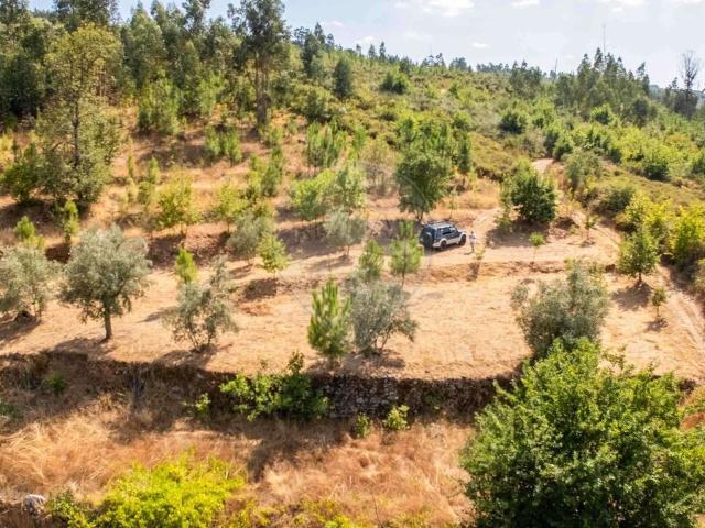 Terreno à venda em Oliveira do Hospital