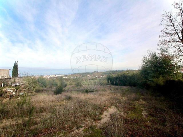 Terreno à venda em Oliveira do Hospital e São Paio de Gramaços, Oliveira do Hospital RE/MAX Portugal