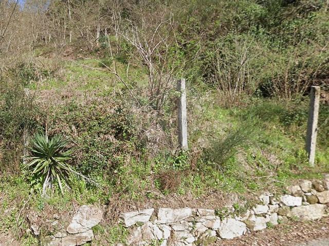 Terreno à venda em Oliveira de Azeméis, Santiago de Riba Ul, Ul, Macinhata da Seixa e Madail, Oliveira de Azeméis RE/MAX Portugal