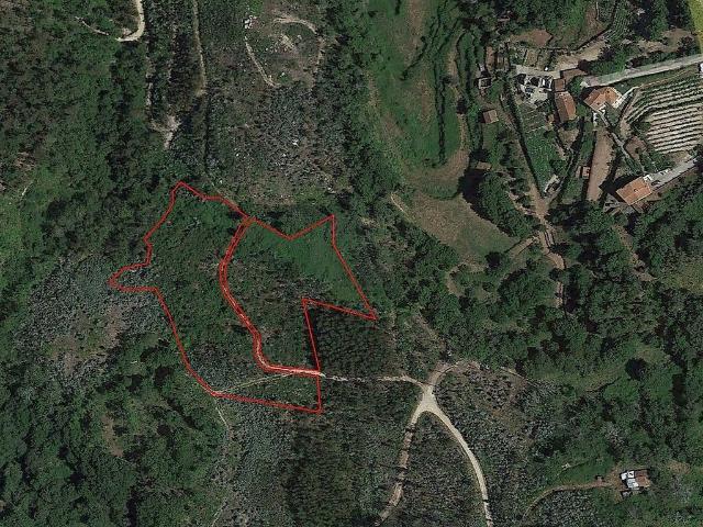 Terreno à venda em Oliveira de Frades, Souto de Lafões e Sejães, Oliveira de Frades RE/MAX Portugal