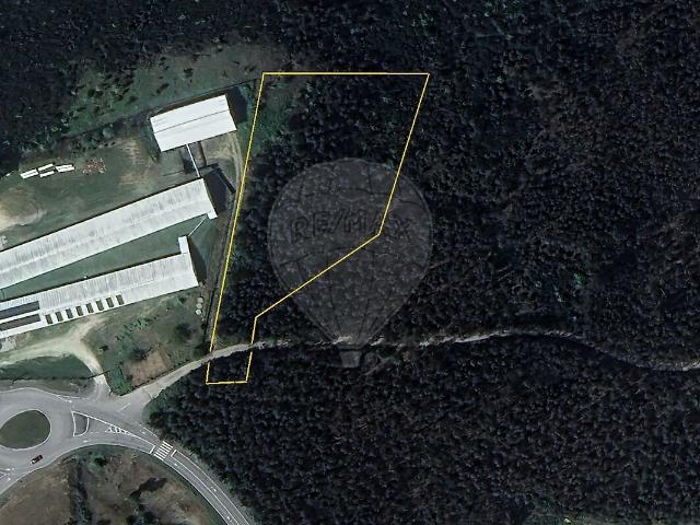 Terreno à venda em Oliveira de Frades, Souto de Lafões e Sejães, Oliveira de Frades RE/MAX Portugal
