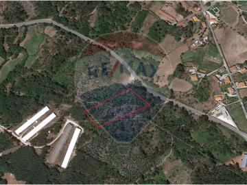 Terreno à venda em Oliveira de Frades