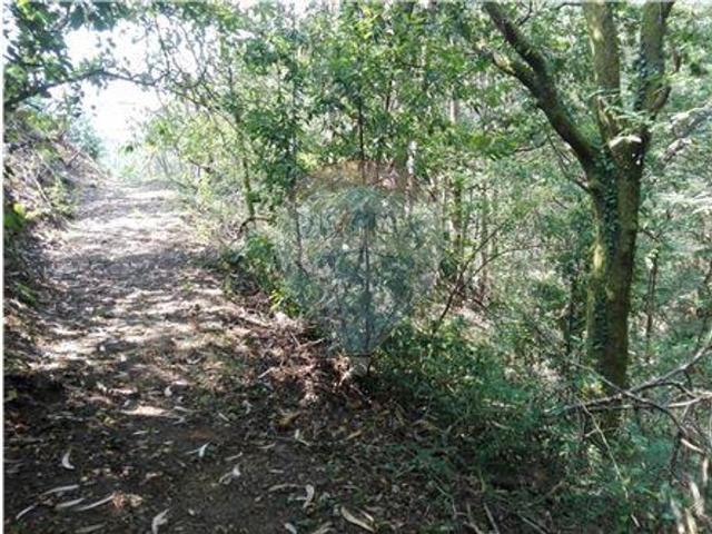 Terreno à venda em Oliveira de Frades