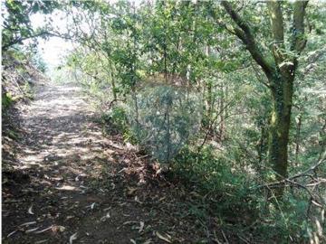 Terreno à venda em Oliveira de Frades