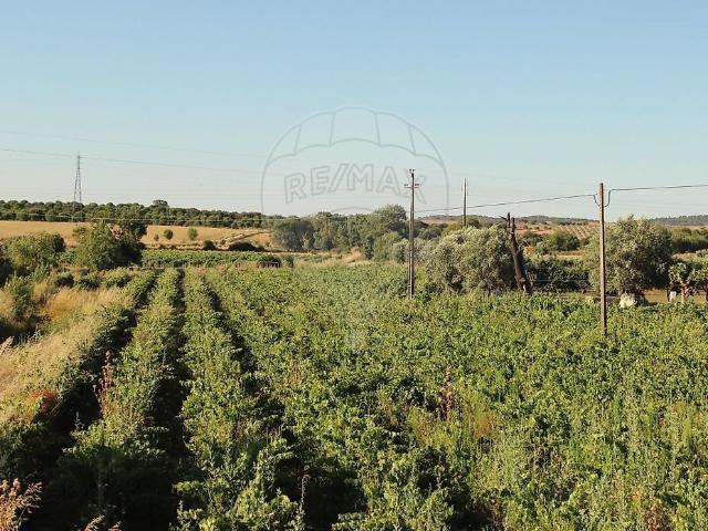Terreno à venda em Orada, Borba RE/MAX Portugal