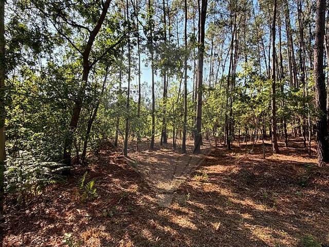 Terreno à venda em Ossela, Oliveira de Azeméis RE/MAX Portugal