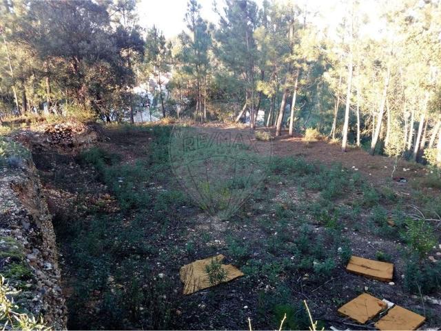 Terreno à venda em Outeiro Senhora Luz