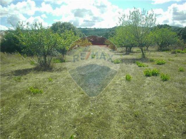 Terreno à venda em Ourém