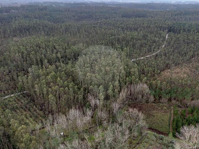 Terreno à venda em Ourentã, Cantanhede RE/MAX Portugal