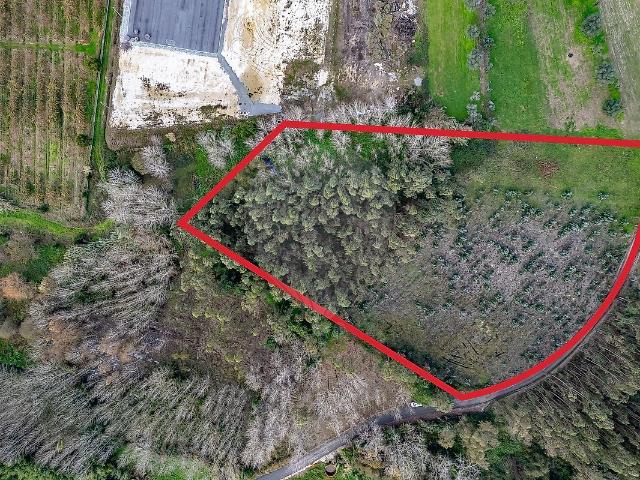 Terreno à venda em Ourentã, Cantanhede RE/MAX Portugal