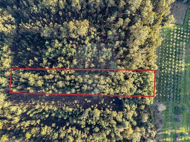 Terreno à venda em Ourentã, Cantanhede RE/MAX Portugal