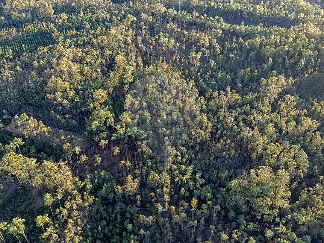 Terreno à venda em Ourentã, Cantanhede RE/MAX Portugal