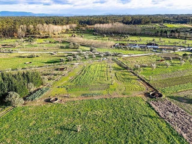 Terreno à venda em Ourentã, Cantanhede RE/MAX Portugal