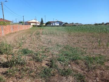 Terreno à venda em Ovar