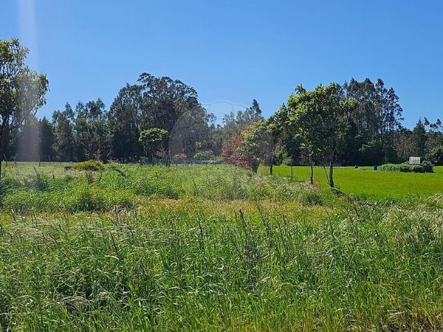 Terreno à venda em Ovar