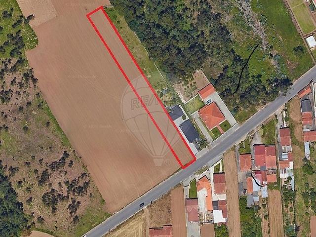 Terreno à venda em Ovar, São João, Arada e São Vicente de Pereira Jusã, Ovar RE/MAX Portugal