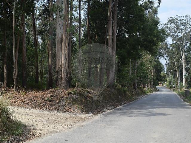 Terreno à venda em Ovar, São João, Arada e São Vicente de Pereira Jusã, Ovar RE/MAX Portugal