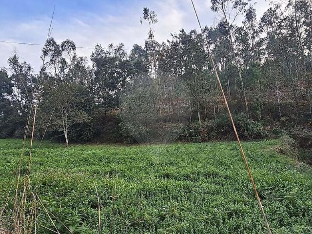 Terreno à venda em Ovar, São João, Arada e São Vicente de Pereira Jusã, Ovar RE/MAX Portugal