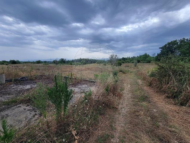 Terreno à venda em Ovoa e Vimieiro, Santa Comba Dão RE/MAX Portugal