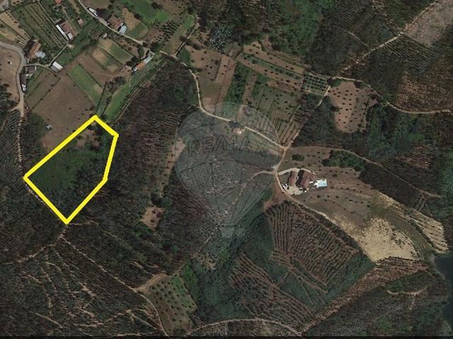 Terreno à venda em Ovoa e Vimieiro, Santa Comba Dão RE/MAX Portugal