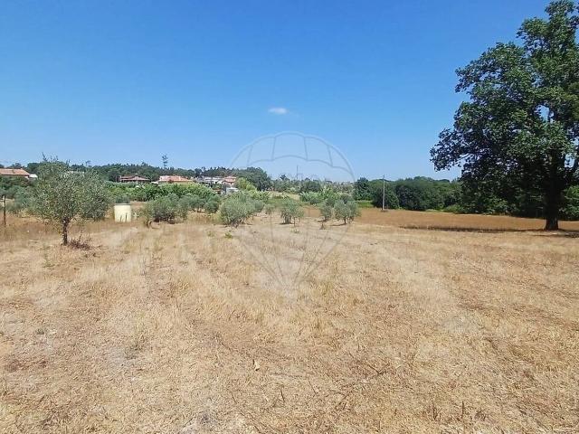 Terreno à venda em Ovoa e Vimieiro, Santa Comba Dão RE/MAX Portugal