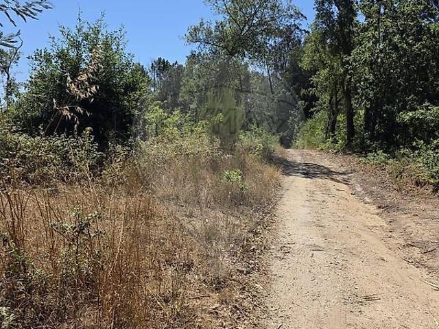 Terreno à venda em Ovoa e Vimieiro, Santa Comba Dão RE/MAX Portugal