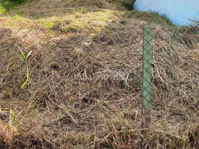 terreno à venda em Loteamento Residencial Ana Carolina
