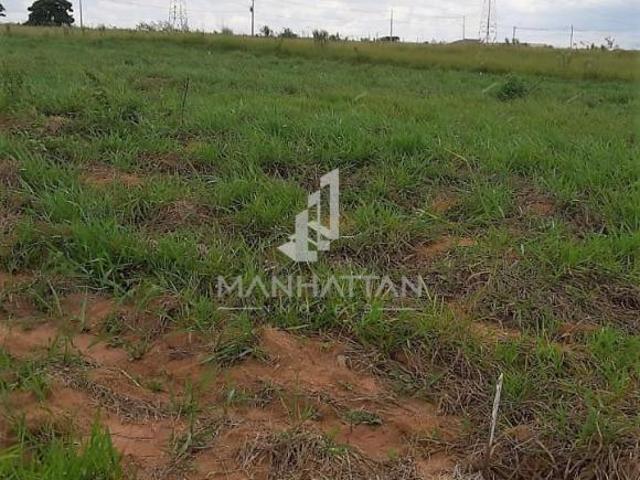 terreno à venda em Loteamento Residencial e Comercial Bairro Pacaembu