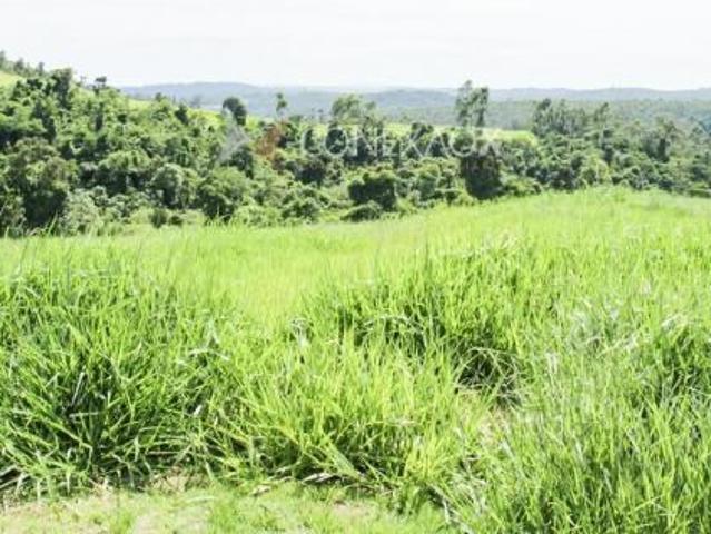 terreno à venda em Loteamento Residencial Entre Verdes Sousas