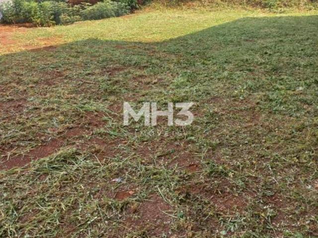terreno à venda em Loteamento Residencial Jardim dos Pinheiros